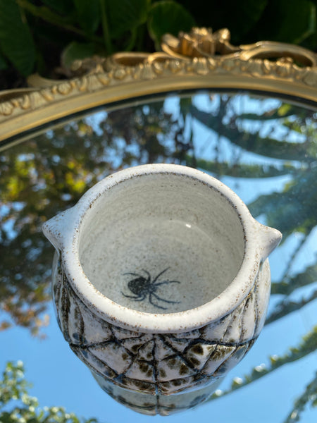 Spider cauldron