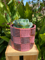 Pink checkered planter